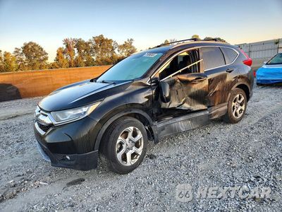 2019 HONDA CR-V EXL 2HKRW2H81KH611091 - główne zdjęcie licytacji z USA - miniatura