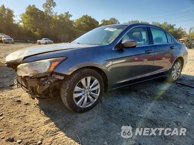 2011 HONDA ACCORD EXL 1HGCP2F86BA093817 - główne zdjęcie licytacji z USA - miniatura