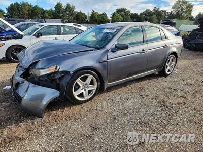 2006 ACURA 3.2TL 19UUA66216A071125 - główne zdjęcie licytacji z USA - miniatura