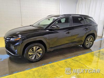 2024 HYUNDAI TUCSON BLUE KM8JBCD19RU192720 - główne zdjęcie licytacji z USA - miniatura