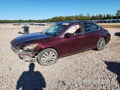 2011 HONDA ACCORD EXL 1HGCP2F87BA095558 - główne zdjęcie licytacji z USA - miniatura