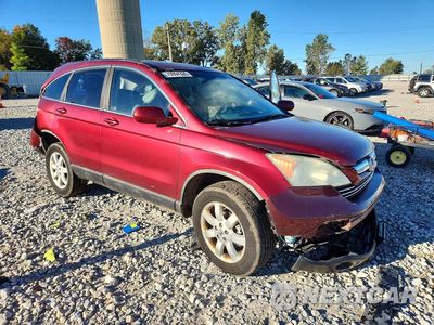 Czwarte zdjęcie samochodu z boku: 2009 HONDA CR-V EXL VIN:5J6RE48739L022145 - miniatura