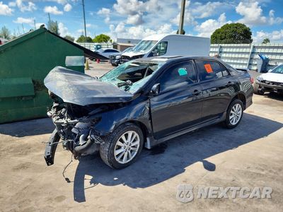2010 TOYOTA COROLLA S 2T1BU4EE4AC432087 - główne zdjęcie licytacji z USA - miniatura