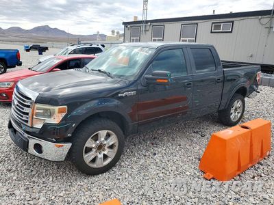 2013 FORD F150 SUPERCREW 1FTFW1CF1DKE34453 - główne zdjęcie licytacji z USA - miniatura