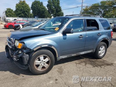 2011 FORD ESCAPE XLT 1FMCU0D75BKA80231 - główne zdjęcie licytacji z USA - miniatura