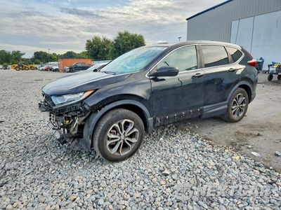 2022 HONDA CR-V EX 7FARW2H58NE033813 - główne zdjęcie licytacji z USA - miniatura