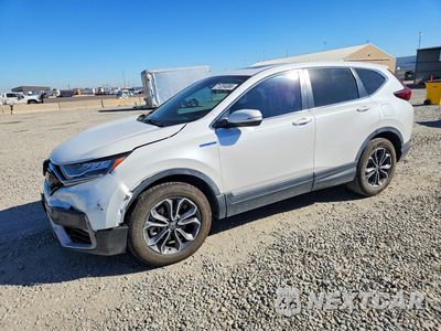 2022 HONDA CR-V EX 5J6RT6H52NL004939 - główne zdjęcie licytacji z USA - miniatura