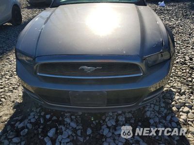 Zdjęcie 11 z 12 samochodu: 2014 FORD MUSTANG VIN:1ZVBP8AMXE5329946 - miniatura