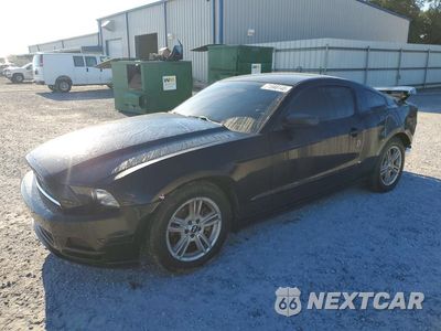 2013 FORD MUSTANG 1ZVBP8AM2D5277324 - główne zdjęcie licytacji z USA - miniatura