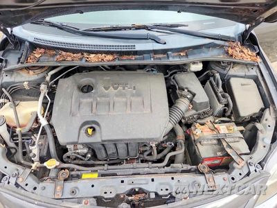 Zdjęcie 11 z 12 samochodu: 2013 TOYOTA COROLLA S VIN:2T1BU4EE8DC118253 - miniatura