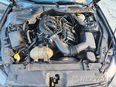 Zdjęcie 11 z 12 samochodu: 2017 FORD MUSTANG GT VIN:1FATP8EM5H5249160 - miniatura