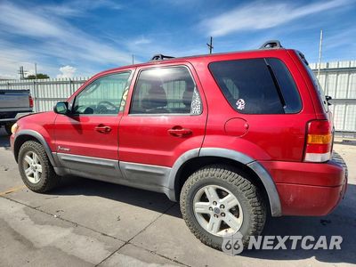 Drugie zdjęcie samochodu z przodu: 2006 FORD ESCAPE HEV VIN:1FMCU96H46KA20554 - miniatura