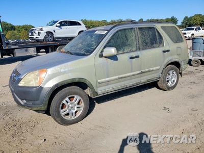 2004 HONDA CR-V EX JHLRD78824C044412 - główne zdjęcie licytacji z USA - miniatura