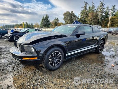 2005 FORD MUSTANG 1ZVFT80N555239126 - główne zdjęcie licytacji z USA - miniatura