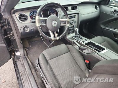 Zdjęcie 8 z 13 samochodu: 2014 FORD MUSTANG VIN:1ZVBP8AM1E5290065 - miniatura