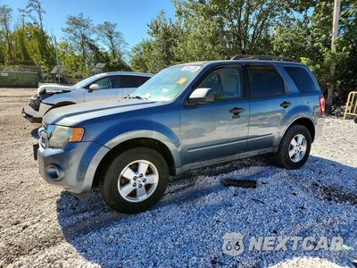 2011 FORD ESCAPE XLT 1FMCU9DG8BKA42058 - główne zdjęcie licytacji z USA - miniatura