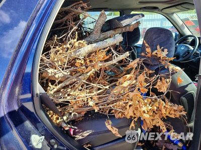 Zdjęcie 11 z 13 samochodu: 2004 HONDA CR-V EX VIN:SHSRD788X4U231843 - miniatura