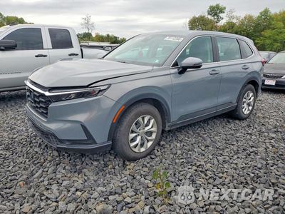 2024 HONDA CR-V LX 2HKRS4H22RH455978 - główne zdjęcie licytacji z USA - miniatura