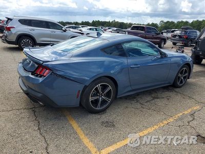 Trzecie zdjęcie samochodu z tyłu: 2024 FORD MUSTANG VIN:1FA6P8TH8R5127395 - miniatura