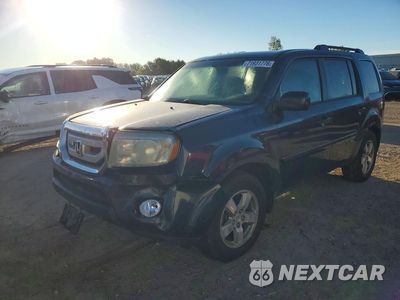 2009 HONDA PILOT EX 5FNYF484X9B027589 - główne zdjęcie licytacji z USA - miniatura