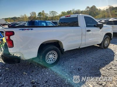 Trzecie zdjęcie samochodu z tyłu: 2019 CHEVROLET SILVERADO K1500 VIN:3GCNYAEH5KG311571 - miniatura
