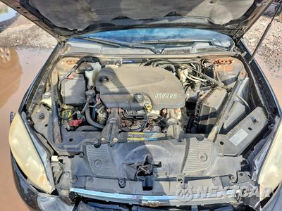 Zdjęcie 11 z 12 samochodu: 2009 CHEVROLET IMPALA LS VIN:2G1WB57K191322942 - miniatura
