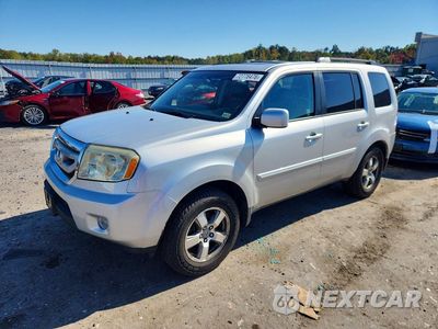 2009 HONDA PILOT EXL 5FNYF48649B017920 - główne zdjęcie licytacji z USA - miniatura