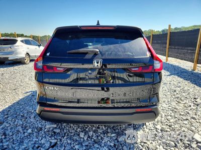 Zdjęcie 6 z 13 samochodu: 2024 HONDA CR-V EXL VIN:7FARS3H73RE002753 - miniatura