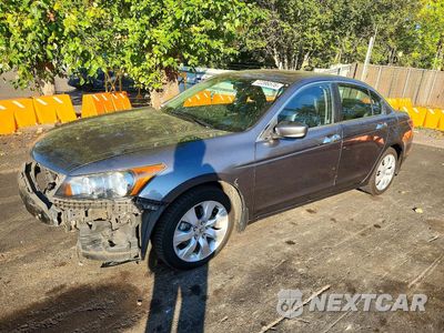 2010 HONDA ACCORD EXL 1HGCP3F89AA021787 - główne zdjęcie licytacji z USA - miniatura