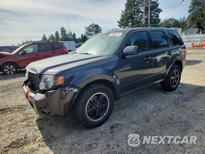 2011 FORD ESCAPE XLT 1FMCU9DG4BKB19038 - główne zdjęcie licytacji z USA - miniatura