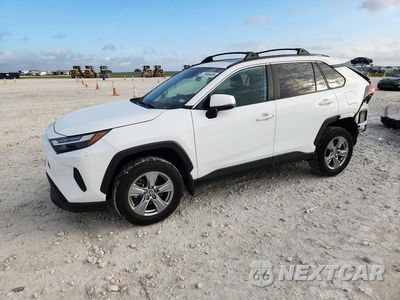 2024 TOYOTA RAV4 XLE 2T3W1RFV1RW313646 - główne zdjęcie licytacji z USA - miniatura