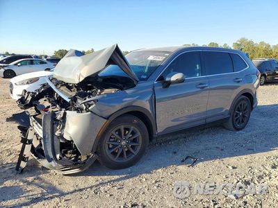 2026 HONDA CR-V EXL 2HKRS3H77TH312747 - główne zdjęcie licytacji z USA - miniatura
