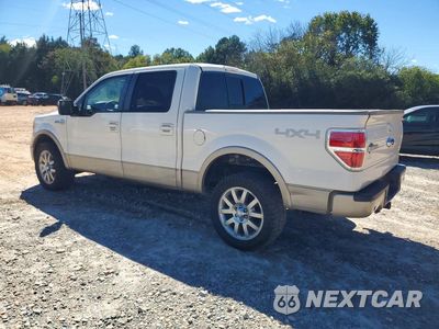 Drugie zdjęcie samochodu z przodu: 2009 FORD F150 SUPERCREW VIN:1FTPW14V59KB98553 - miniatura