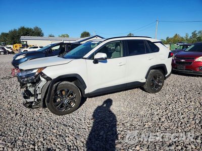 2023 TOYOTA RAV4 XLE PREMIUM JTMB6RFV8PJ036005 - główne zdjęcie licytacji z USA - miniatura