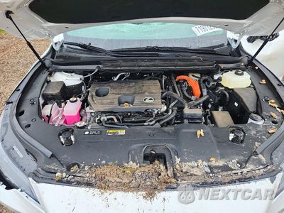 Zdjęcie 12 z 13 samochodu: 2026 LEXUS RX 350H LUXURY VIN:2T2BBMCAXTC117833 - miniatura