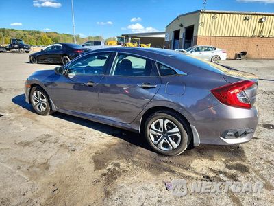 Drugie zdjęcie samochodu z przodu: 2017 HONDA CIVIC LX VIN:2HGFC2F53HH567490 - miniatura