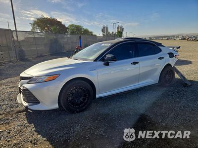 2020 TOYOTA CAMRY XLE 4T1F31AK3LU518202 - główne zdjęcie licytacji z USA - miniatura
