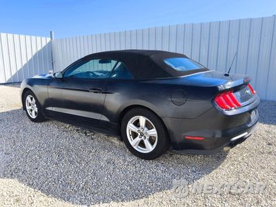 Drugie zdjęcie samochodu z przodu: 2019 FORD MUSTANG VIN:1FATP8UH0K5101882 - miniatura