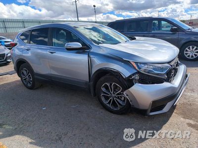 Czwarte zdjęcie samochodu z boku: 2020 HONDA CR-V EX VIN:7FART6H5XLE022387 - miniatura