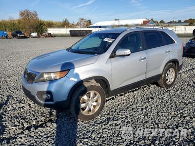 2011 KIA SORENTO LX 5XYKT4A10BG133613 - główne zdjęcie licytacji z USA - miniatura
