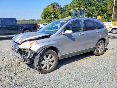 2007 HONDA CR-V EXL JHLRE38767C083277 - główne zdjęcie licytacji z USA - miniatura