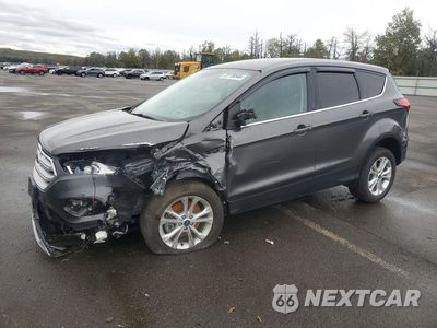 2019 FORD ESCAPE 1FMCU9GD6KUA84802 - główne zdjęcie licytacji z USA - miniatura