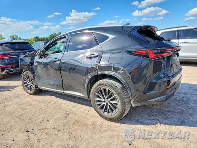 Drugie zdjęcie samochodu z przodu: 2024 LEXUS NX 250 BASE VIN:2T2ADCAZ9RC008104 - miniatura