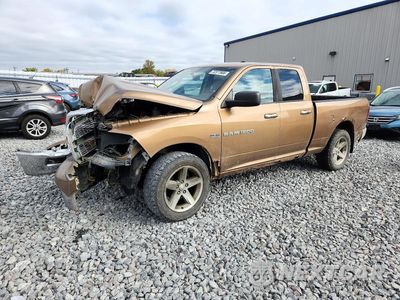 2011 DODGE RAM 1500 1D7RV1GT4BS683073 - główne zdjęcie licytacji z USA - miniatura