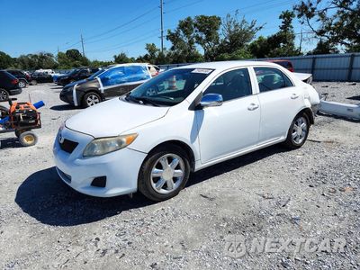 2009 TOYOTA COROLLA LE 2T1BU40E39C158920 - główne zdjęcie licytacji z USA - miniatura