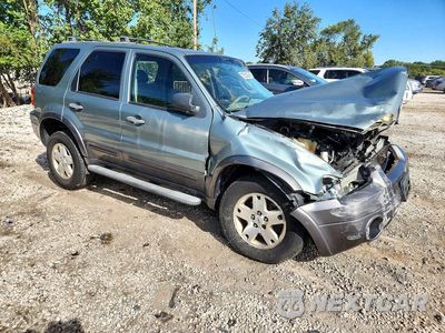 Czwarte zdjęcie samochodu z boku: 2006 FORD ESCAPE XLT VIN:1FMYU93116KD04706 - miniatura