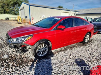 2019 HYUNDAI SONATA SE 5NPE24AFXKH774188 - główne zdjęcie licytacji z USA - miniatura