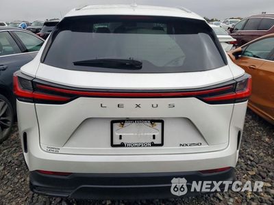 Zdjęcie 6 z 13 samochodu: 2024 LEXUS NX 250 BASE VIN:2T2ADCAZ1RC007383 - miniatura