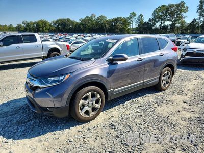 2019 HONDA CR-V EXL 5J6RW2H80KL031739 - główne zdjęcie licytacji z USA - miniatura