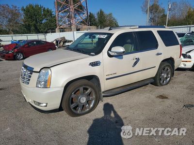 2009 CADILLAC ESCALADE LUXURY 1GYFK23269R295847 - główne zdjęcie licytacji z USA - miniatura